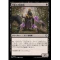 (FOIL)骨蓄えの監視者/Bonecache Overseer《日本語》【BLB】