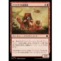 (FOIL)アライグマの結集者/Raccoon Rallier《日本語》【BLB】