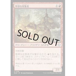 画像1: [EX+](FOIL)厚顔な収集者/Brazen Collector《日本語》【BLB】