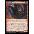 [EX+](FOIL)運命の大嵐、ドラゴンホーク/Dragonhawk, Fate's Tempest《日本語》【BLB】