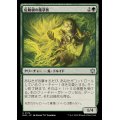 (FOIL)危険根の薬草医/Hazardroot Herbalist《日本語》【BLB】