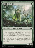 (FOIL)天気雨のドルイド/Sunshower Druid《日本語》【BLB】