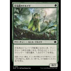 画像1: (FOIL)天気雨のドルイド/Sunshower Druid《日本語》【BLB】