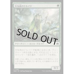 画像1: [EX+](FOIL)天気雨のドルイド/Sunshower Druid《日本語》【BLB】