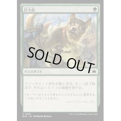 画像1: [EX+](FOIL)巨大化/Giant Growth《日本語》【BLB】