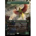 (フルアート)極楽鳥/Birds of Paradise《日本語》【BLC】