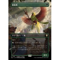 (フルアート)極楽鳥/Birds of Paradise《日本語》【BLC】