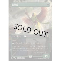 画像1: [EX+](FOIL)(フルアート)極楽鳥/Birds of Paradise《日本語》【BLC】