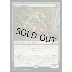 画像1: [EX+](FOIL)脚当ての補充兵/Pawpatch Recruit《日本語》【BLB】