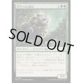 (FOIL)茨守りの古参兵/Brambleguard Veteran《日本語》【BLB】