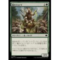 (FOIL)鋤のドルイド/Druid of the Spade《日本語》【BLB】