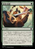 (FOIL)長茎の乱闘/Longstalk Brawl《日本語》【BLB】