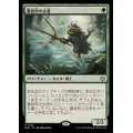 (FOIL)霧息吹の古老/Mistbreath Elder《日本語》【BLB】