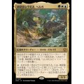 (FOIL)神経質な予見者、ヘルガ/Helga, Skittish Seer《日本語》【BLB】