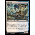 (FOIL)豆殻の従者/Seedpod Squire《日本語》【BLB】