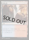 (FOIL)急流の崖/Swiftwater Cliffs《日本語》【BLB】