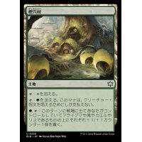 (FOIL)樫穴村/Oakhollow Village《日本語》【BLB】