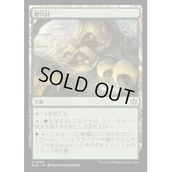 画像1: [EX+](FOIL)樫穴村/Oakhollow Village《日本語》【BLB】