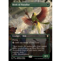 画像1: [EX+](フルアート)極楽鳥/Birds of Paradise《英語》【BLC】