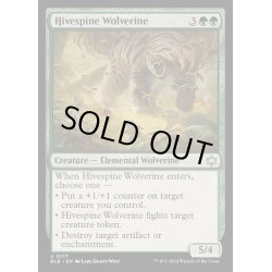 画像1: [EX+](FOIL)巣背骨のクズリ/Hivespine Wolverine《英語》【BLB】