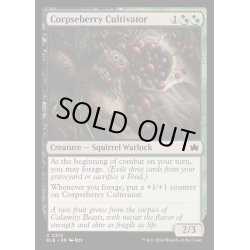 画像1: [EX+](FOIL)屍苺の耕作者/Corpseberry Cultivator《英語》【BLB】