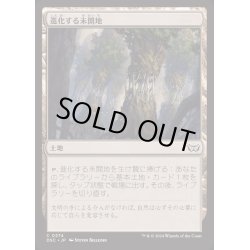 画像1: 進化する未開地/Evolving Wilds《日本語》【DSC】