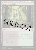 ゴルガリの腐敗農場/Golgari Rot Farm《日本語》【DSC】