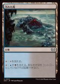 汚れた島/Tainted Isle《日本語》【DSC】