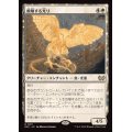 飛翔する光り/Soaring Lightbringer《日本語》【DSC】