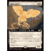 (フルアート)飛翔する光り/Soaring Lightbringer《日本語》【DSC】