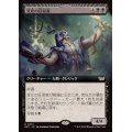 (フルアート)変化の狂信者/Metamorphosis Fanatic《日本語》【DSC】