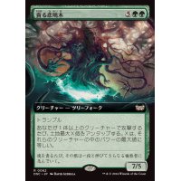 (フルアート)貪る悲鳴木/Shriekwood Devourer《日本語》【DSC】