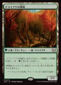 ドライアドの東屋/Dryad Arbor《日本語》【DSC】