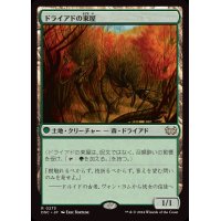 ドライアドの東屋/Dryad Arbor《日本語》【DSC】