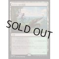 [EX+]ラノワールの荒原/Llanowar Wastes《日本語》【DSC】