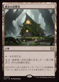 魔女の診療所/Witch's Clinic《日本語》【DSC】