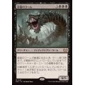 虐殺のワーム/Massacre Wurm《日本語》【DSC】