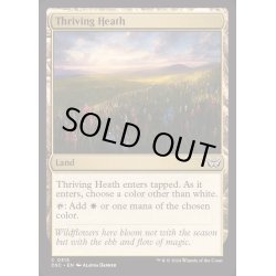 画像1: [EX+]興隆する荒野/Thriving Heath《英語》【DSC】