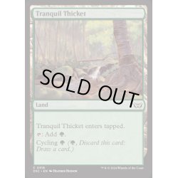 画像1: [EX+]平穏な茂み/Tranquil Thicket《英語》【DSC】