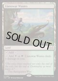 ラノワールの荒原/Llanowar Wastes《英語》【DSC】