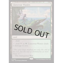 画像1: ラノワールの荒原/Llanowar Wastes《英語》【DSC】