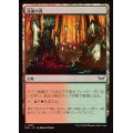 (FOIL)流血の森/Bleeding Woods《日本語》【DSK】