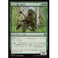 (FOIL)エルフ誓いの巨人/Elfsworn Giant《日本語》【FDN】