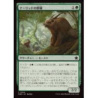 (FOIL)ナーリッドの群棲/Gnarlid Colony《日本語》【FDN】