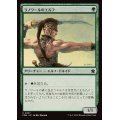 (FOIL)ラノワールのエルフ/Llanowar Elves《日本語》【FDN】