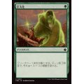 (FOIL)巨大化/Giant Growth《日本語》【FDN】