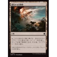 (FOIL)進化する未開地/Evolving Wilds《日本語》【FDN】