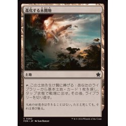 画像1: (FOIL)進化する未開地/Evolving Wilds《日本語》【FDN】