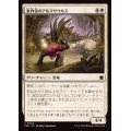 (FOIL)案内役のアルマサウルス/Armasaur Guide《日本語》【FDN】