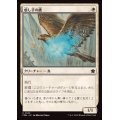 (FOIL)癒し手の鷹/Healer's Hawk《日本語》【FDN】